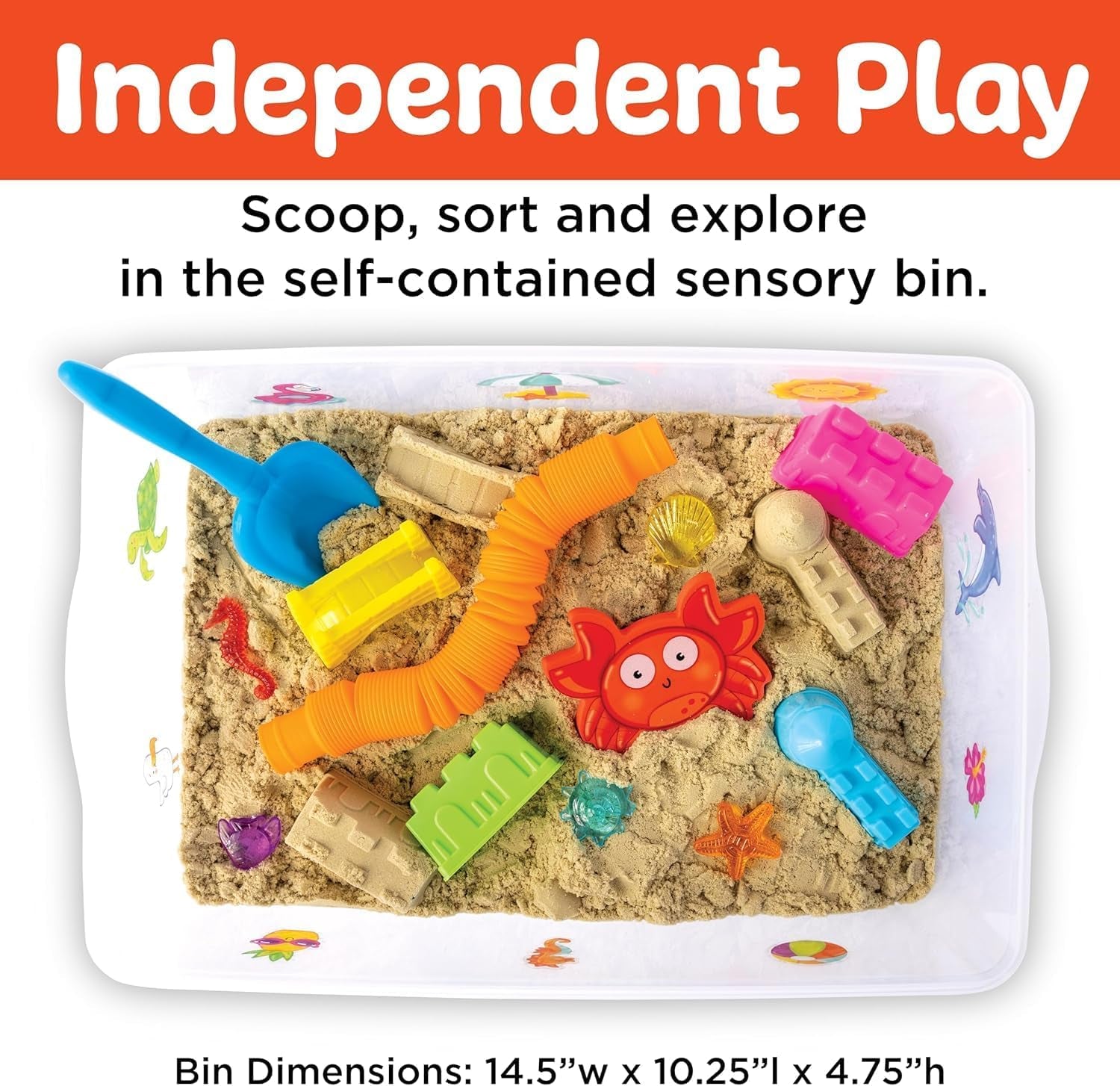Sensory Bin: Beach 