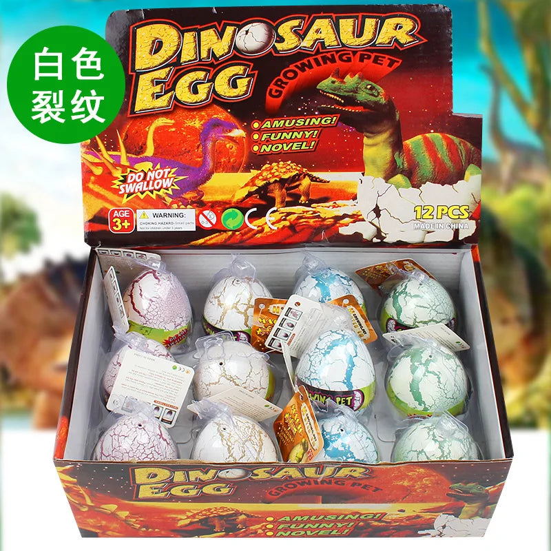  Colourful Cracked Dinosaur Eggs Hatching Eggs Soaking 